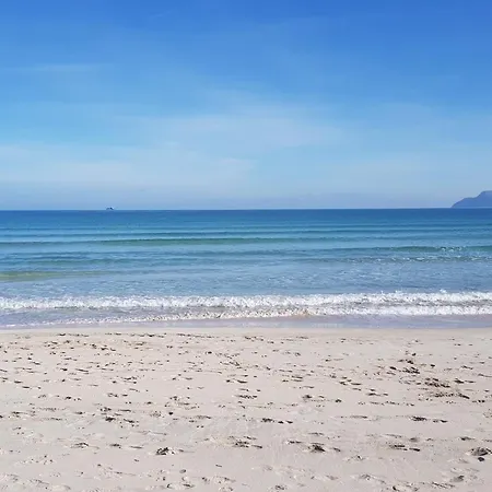 Casa de Férias Ideal Mallorca - Celia Port de Alcudia (Mallorca)