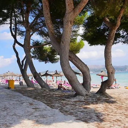 Ideal Mallorca - Celia Casa de Férias Port de Alcudia (Mallorca)